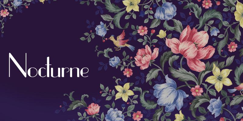 Nocturne_thumbnail
